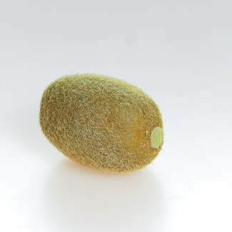 Kiwi lunghezza 6.5 cm