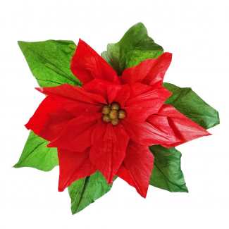 Stella di Natale rosso e verde, varie misure